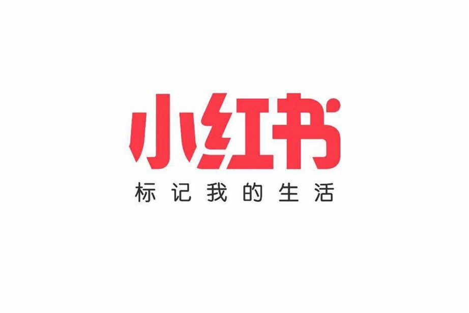 2025涨粉趋势
